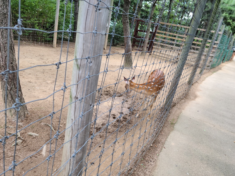 월미도 공원